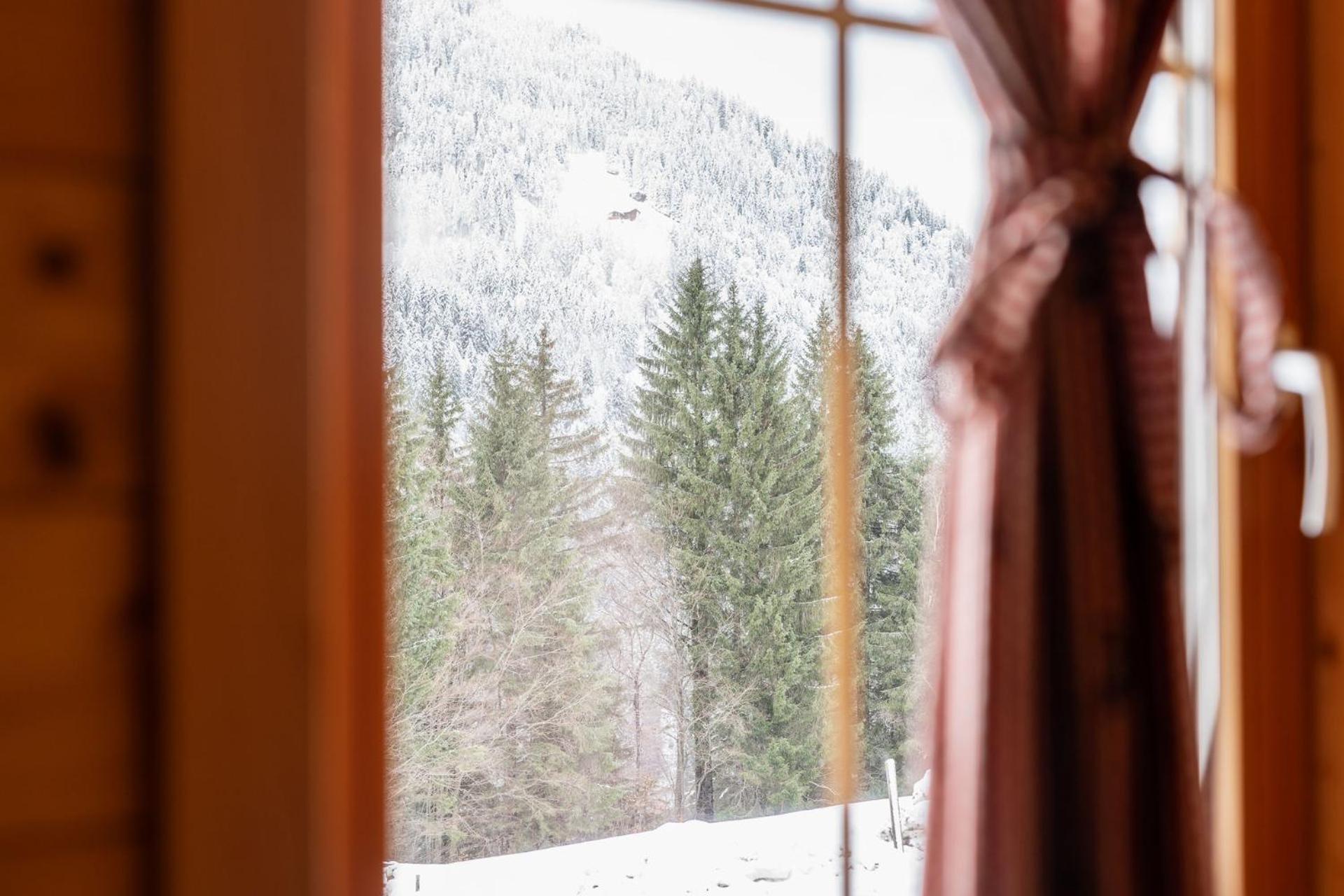 Neuberg Alm Villa Sankt Gallenkirch Eksteriør billede