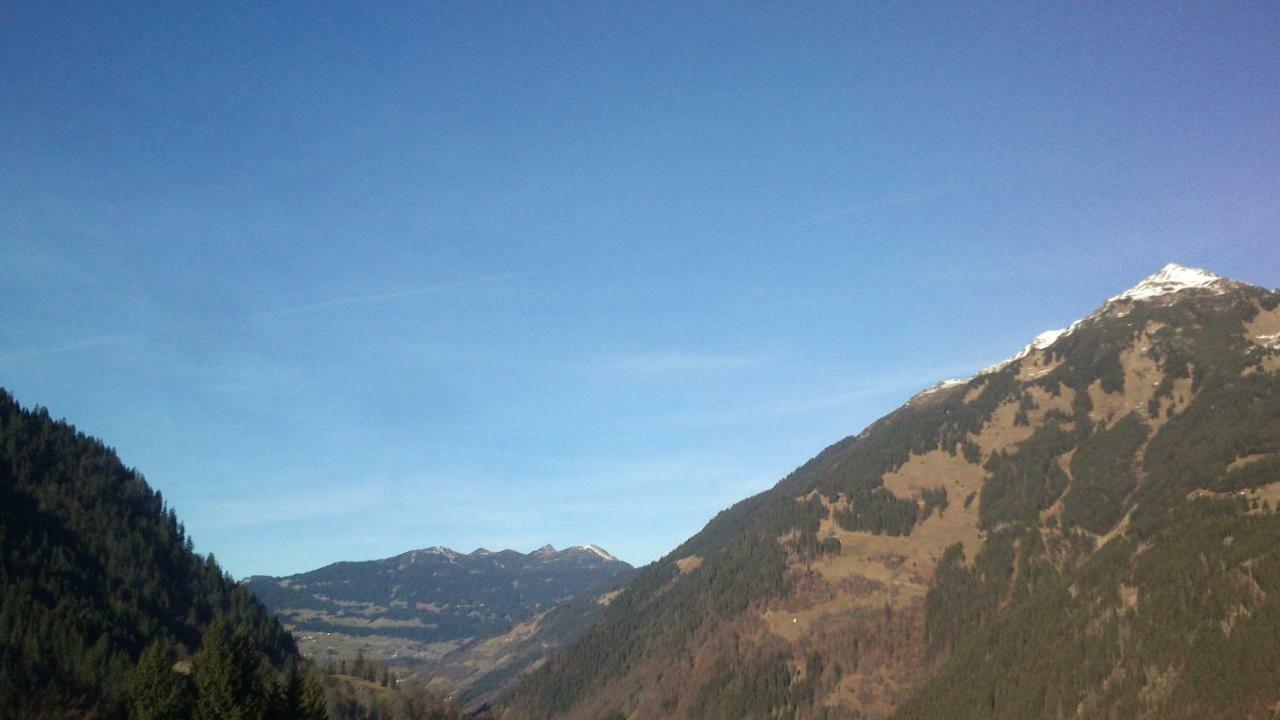 Neuberg Alm Villa Sankt Gallenkirch Eksteriør billede