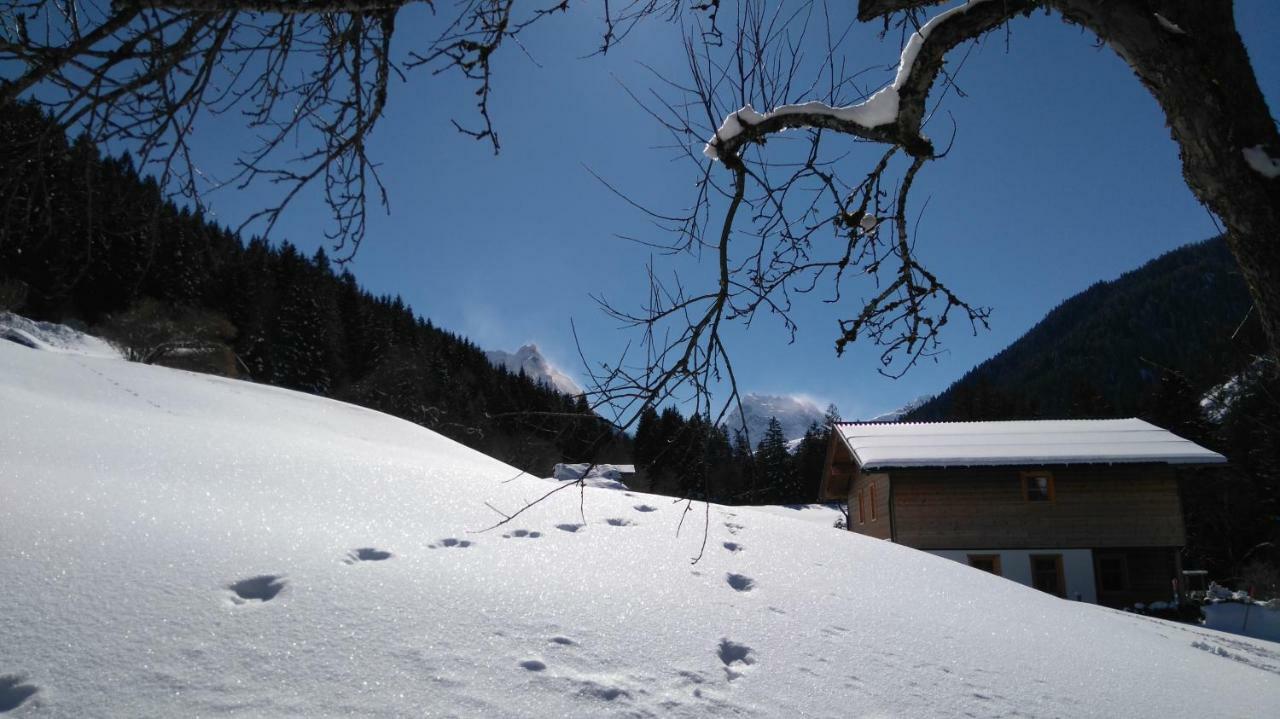Neuberg Alm Villa Sankt Gallenkirch Eksteriør billede